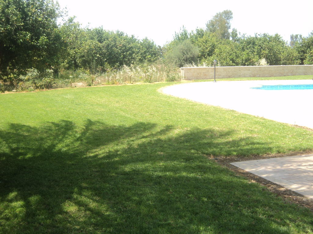 Citrus Grove Villa Argaka Habitación foto